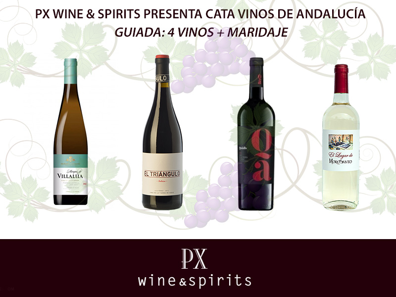 Andalusian Wine Tasting Event